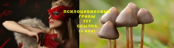 ECSTASY Белокуриха